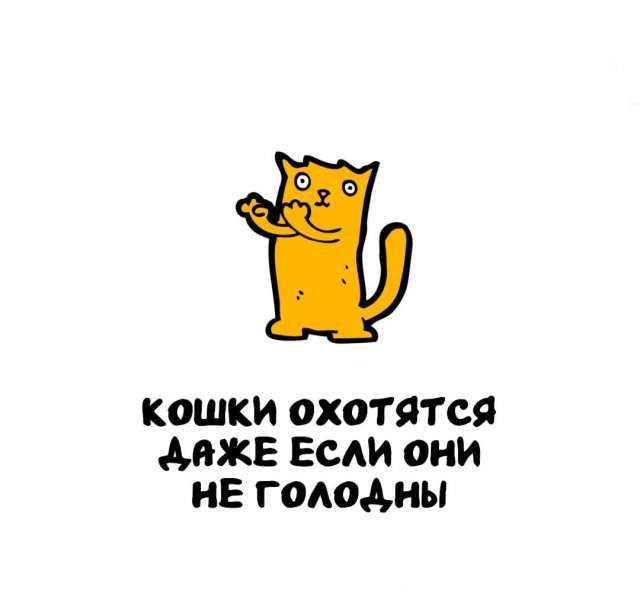 Интересные факты на все случаи жизни Интересные факты на все случаи жизни