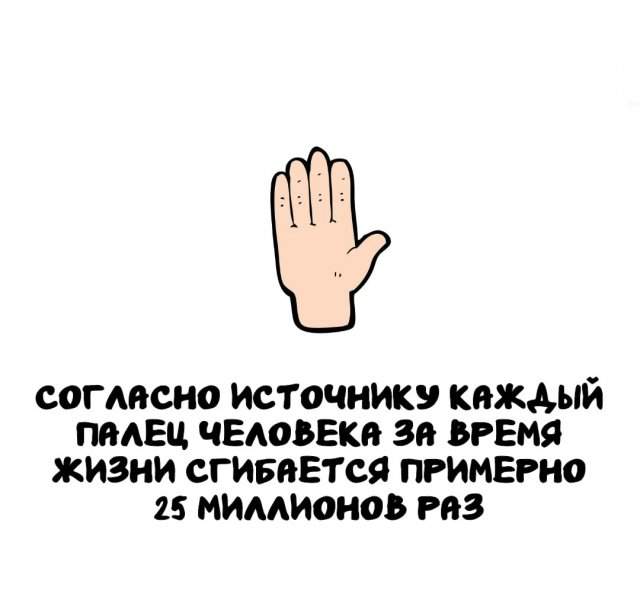 Интересные факты на все случаи жизни Интересные факты на все случаи жизни