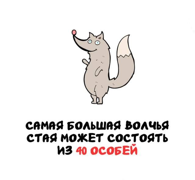Интересные факты на все случаи жизни Интересные факты на все случаи жизни