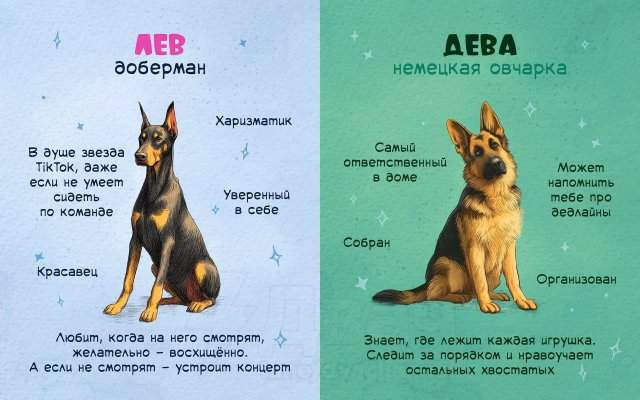 Астролог рассказал, какая вы собака по знаку зодиака Астролог рассказал, какая вы собака по знаку зодиака