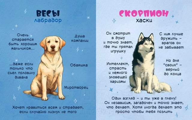 Астролог рассказал, какая вы собака по знаку зодиака Астролог рассказал, какая вы собака по знаку зодиака