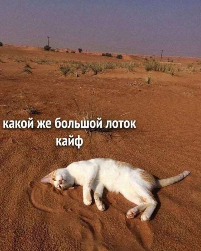 Смешные мемы - 08.07.2025 Смешные мемы - 08.07.2025