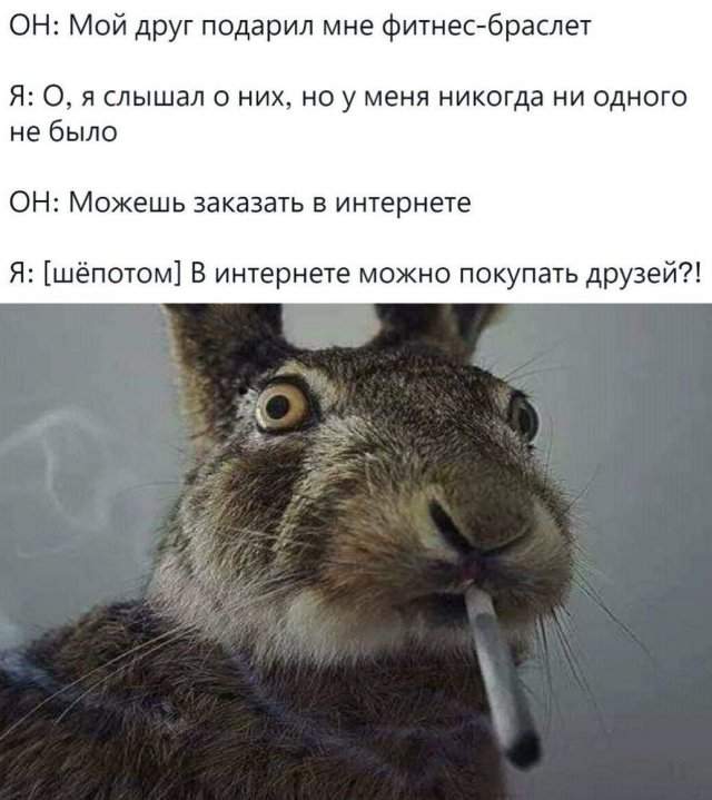Смешные мемы - 08.07.2025 Смешные мемы - 08.07.2025