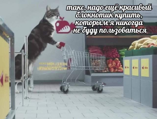 Смешные мемы - 08.07.2025 Смешные мемы - 08.07.2025