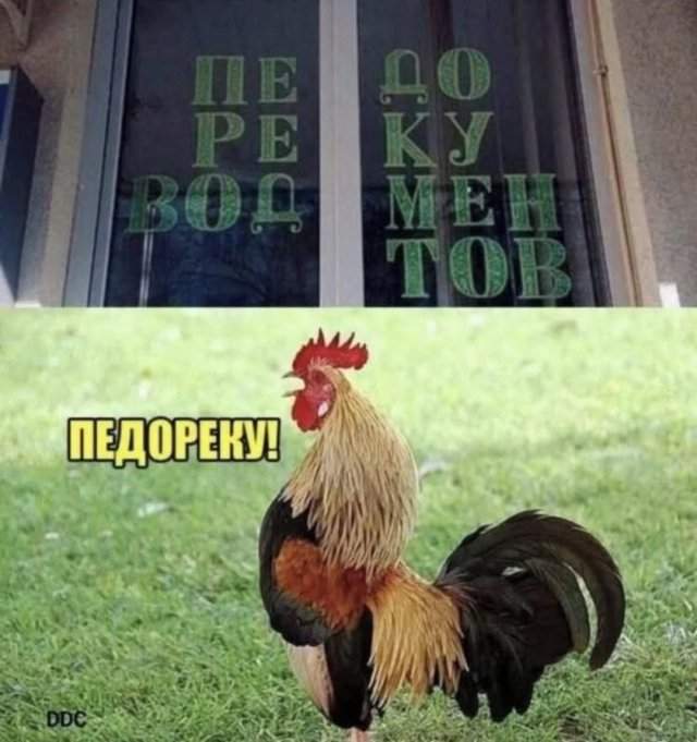 Смешные мемы - 08.07.2025 Смешные мемы - 08.07.2025