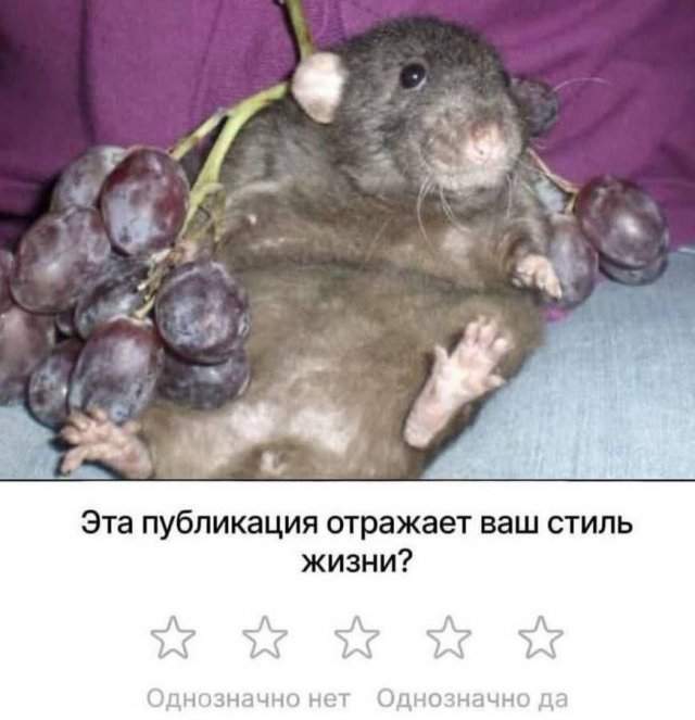 Смешные мемы - 08.07.2025 Смешные мемы - 08.07.2025