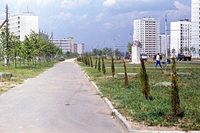 Улица 26 Бакинских комиссаров в Тропарёво-Никулино и только-только высаженные деревья Улица 26 Бакинских комиссаров в Тропарёво-Никулино и только-только высаженные деревья