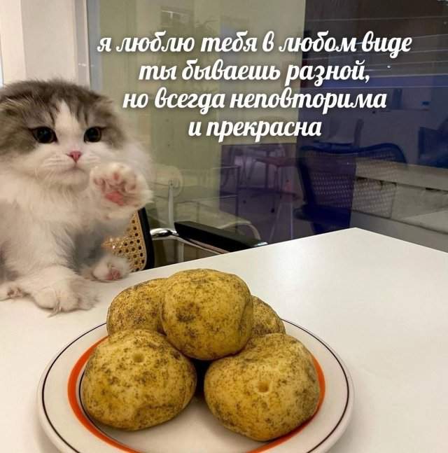 Лучшие шутки и мемы из Сети - 08.07.2025 Лучшие шутки и мемы из Сети - 08.07.2025