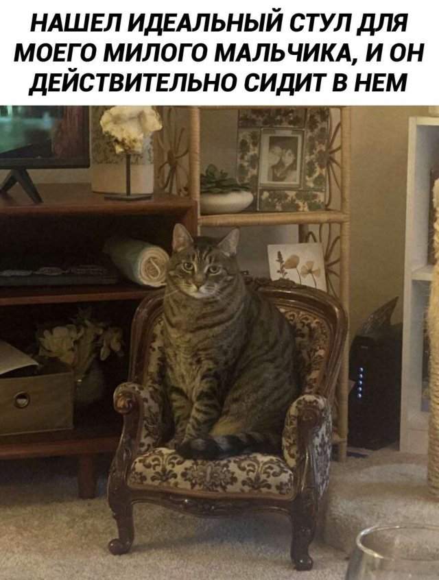 Лучшие шутки и мемы из Сети - 08.07.2025 Лучшие шутки и мемы из Сети - 08.07.2025