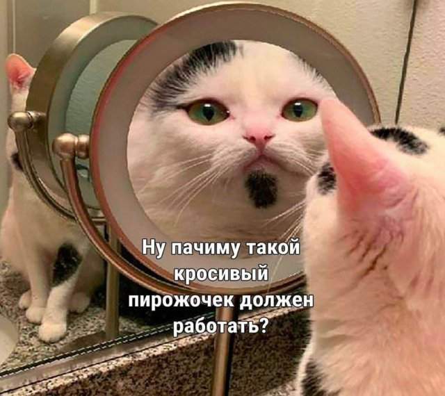 Лучшие шутки и мемы из Сети - 08.07.2025 Лучшие шутки и мемы из Сети - 08.07.2025