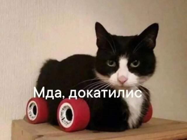Смешные мемы - 09.07.2025 Смешные мемы - 09.07.2025