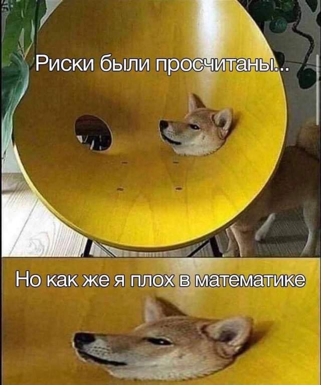 Смешные мемы - 09.07.2025 Смешные мемы - 09.07.2025