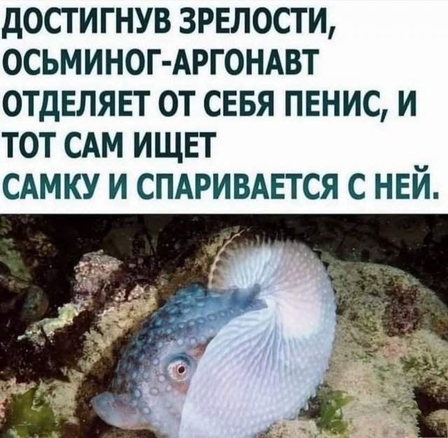 Смешные картинки - 09.07.2025 Смешные картинки - 09.07.2025