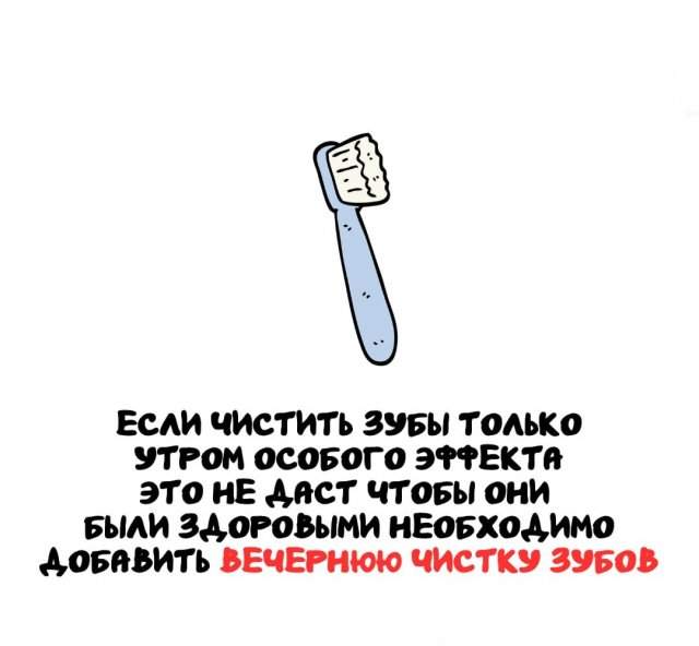 Интересные факты на все случаи жизни Интересные факты на все случаи жизни