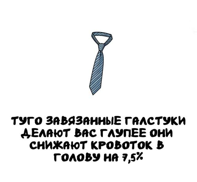 Интересные факты на все случаи жизни Интересные факты на все случаи жизни