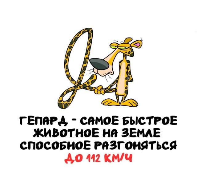 Интересные факты на все случаи жизни Интересные факты на все случаи жизни