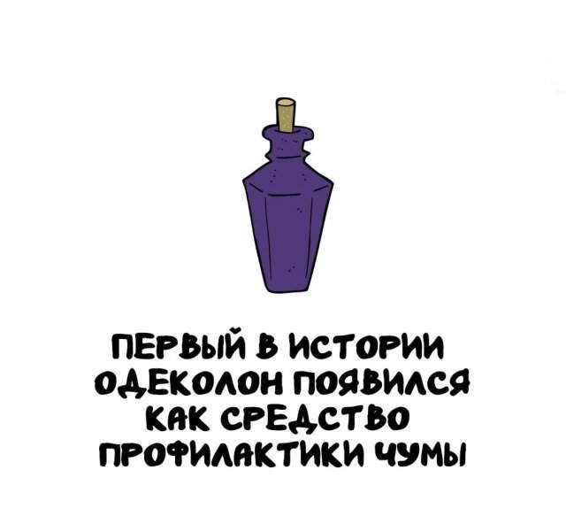 Интересные факты на все случаи жизни Интересные факты на все случаи жизни