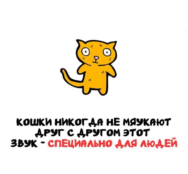 Интересные факты на все случаи жизни Интересные факты на все случаи жизни