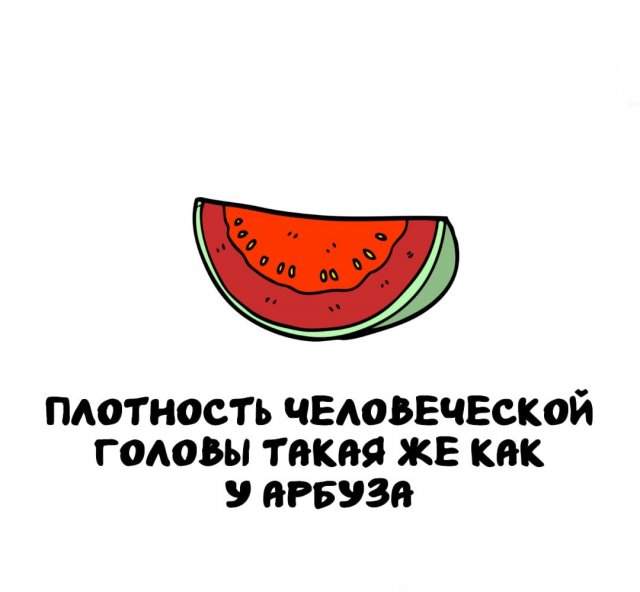 Интересные факты на все случаи жизни Интересные факты на все случаи жизни