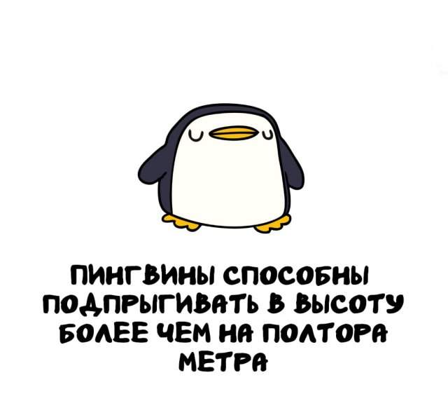 Интересные факты на все случаи жизни Интересные факты на все случаи жизни