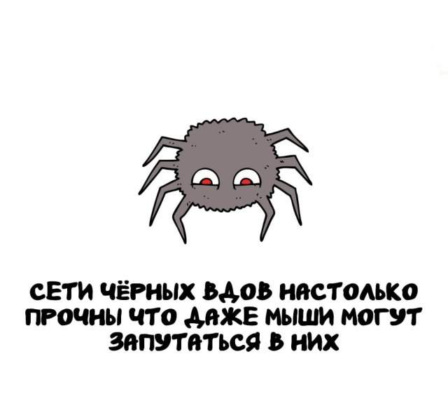 Интересные факты на все случаи жизни Интересные факты на все случаи жизни
