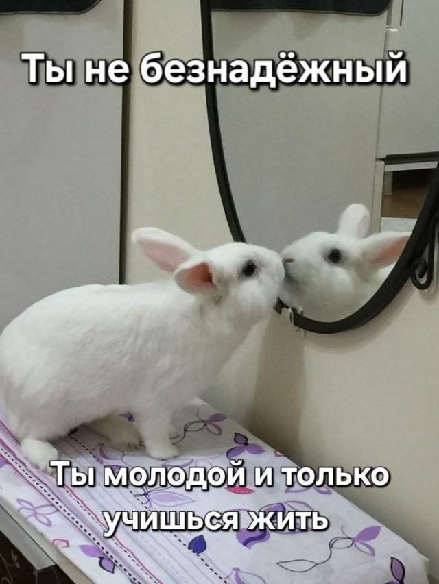 Лучшие шутки и мемы из Сети - 09.07.2025 Лучшие шутки и мемы из Сети - 09.07.2025