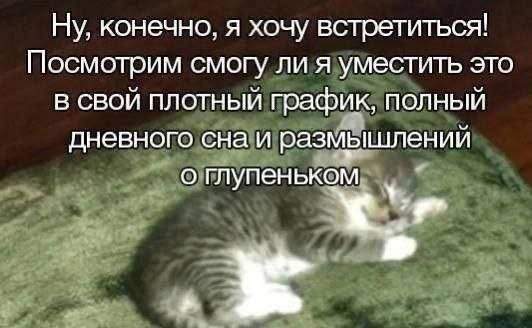 Смешные мемы - 10.07.2025 Смешные мемы - 10.07.2025