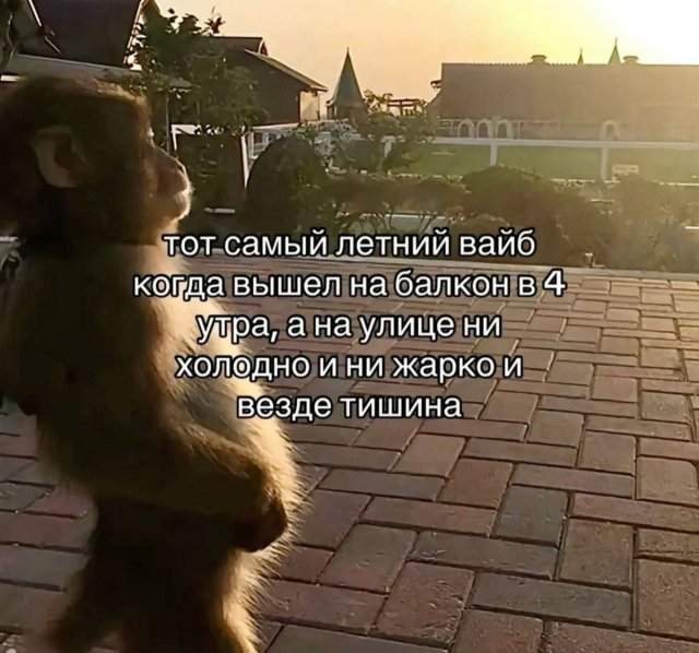 Смешные мемы - 10.07.2025 Смешные мемы - 10.07.2025
