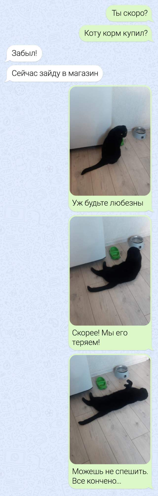 Подборка забавных переписок Подборка забавных переписок