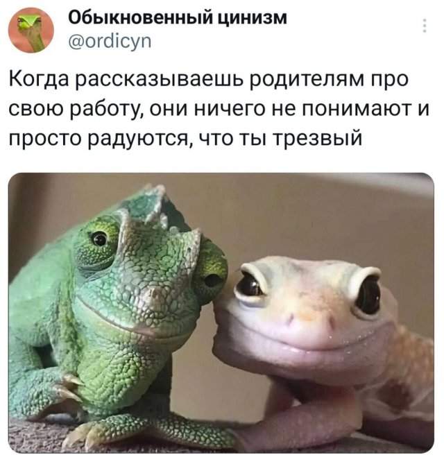 Подборка забавных твитов обо всем Подборка забавных твитов обо всем