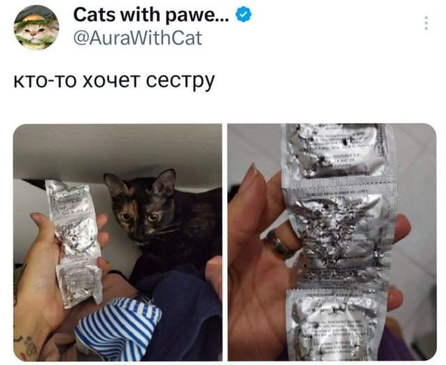 Подборка забавных твитов обо всем Подборка забавных твитов обо всем