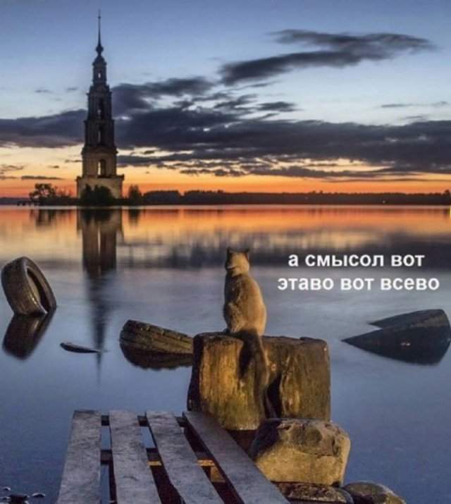 Лучшие шутки и мемы из Сети - 10.07.2025
