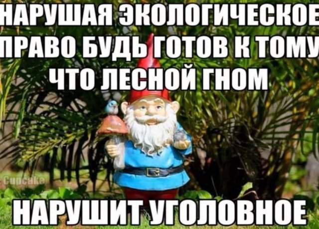 Лучшие шутки и мемы из Сети - 10.07.2025