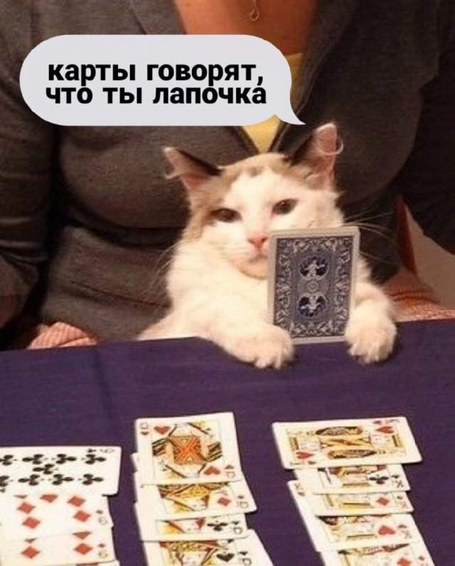 Лучшие шутки и мемы из Сети - 10.07.2025