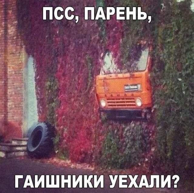 Лучшие шутки и мемы из Сети - 10.07.2025