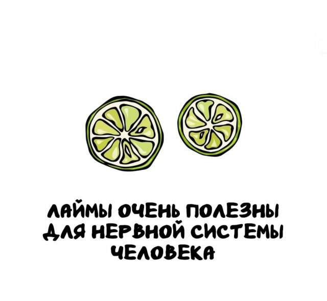 Интересные факты на все случаи жизни Интересные факты на все случаи жизни