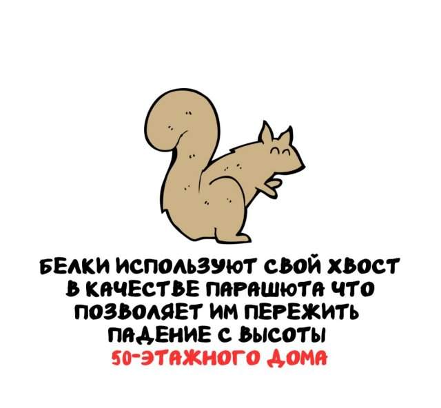 Интересные факты на все случаи жизни Интересные факты на все случаи жизни