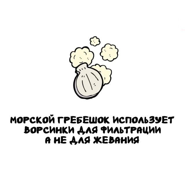 Интересные факты на все случаи жизни Интересные факты на все случаи жизни