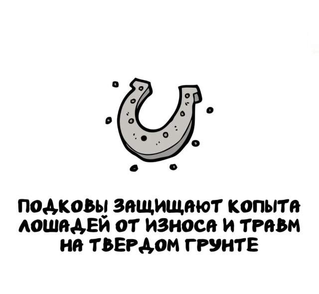 Интересные факты на все случаи жизни Интересные факты на все случаи жизни