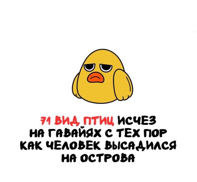 Интересные факты на все случаи жизни Интересные факты на все случаи жизни