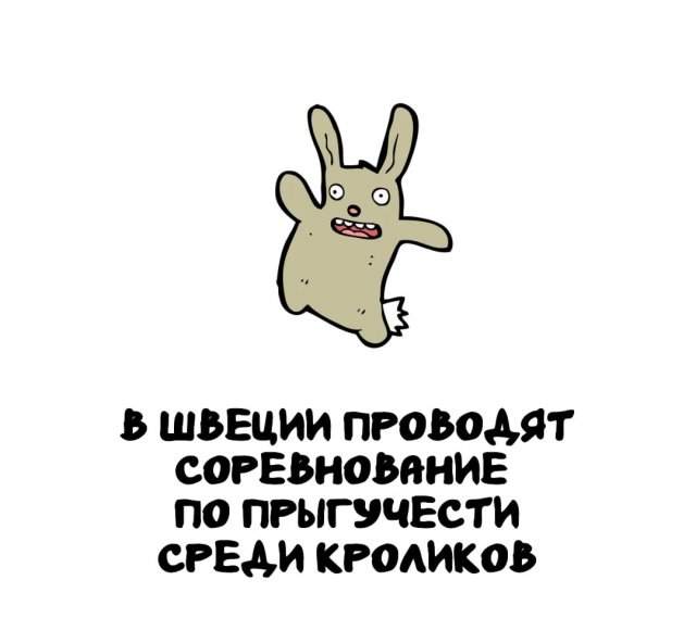 Интересные факты на все случаи жизни Интересные факты на все случаи жизни