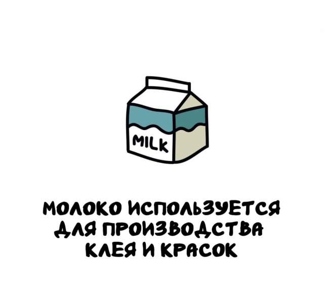 Интересные факты на все случаи жизни Интересные факты на все случаи жизни