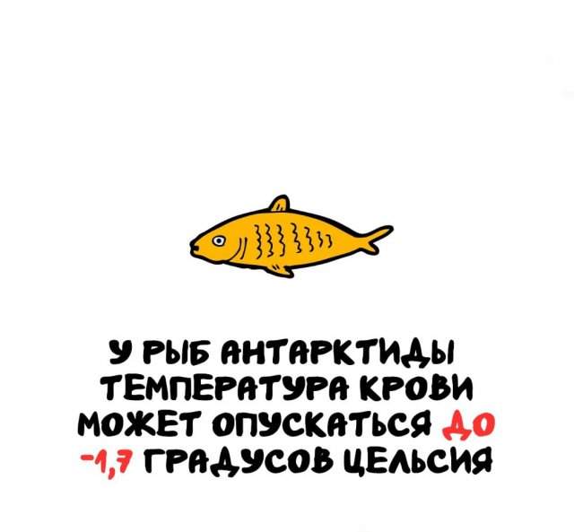 Интересные факты на все случаи жизни Интересные факты на все случаи жизни