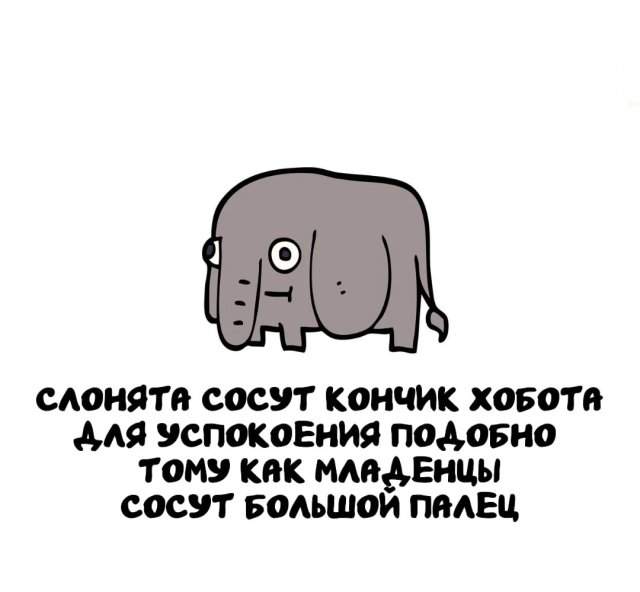 Интересные факты на все случаи жизни Интересные факты на все случаи жизни