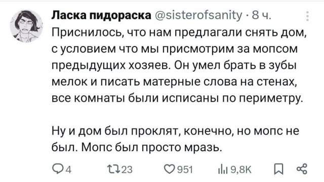 Лучшие шутки и мемы из Сети - 11.07.2025