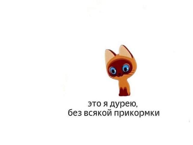 Лучшие шутки и мемы из Сети - 11.07.2025