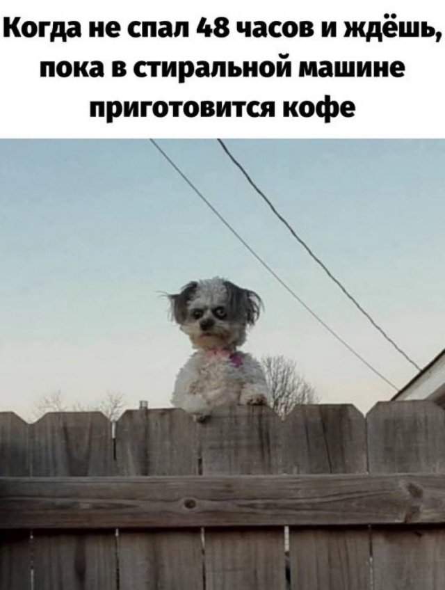 Лучшие шутки и мемы из Сети - 11.07.2025
