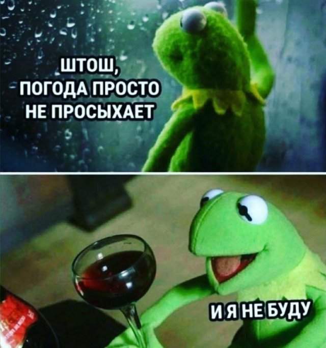 Смешные мемы - 14.07.2025 Смешные мемы - 14.07.2025