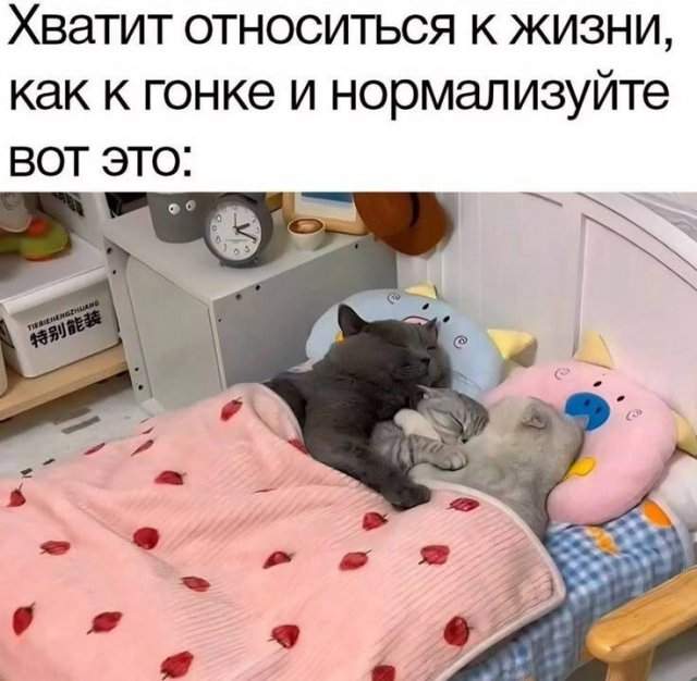 Смешные мемы - 14.07.2025 Смешные мемы - 14.07.2025