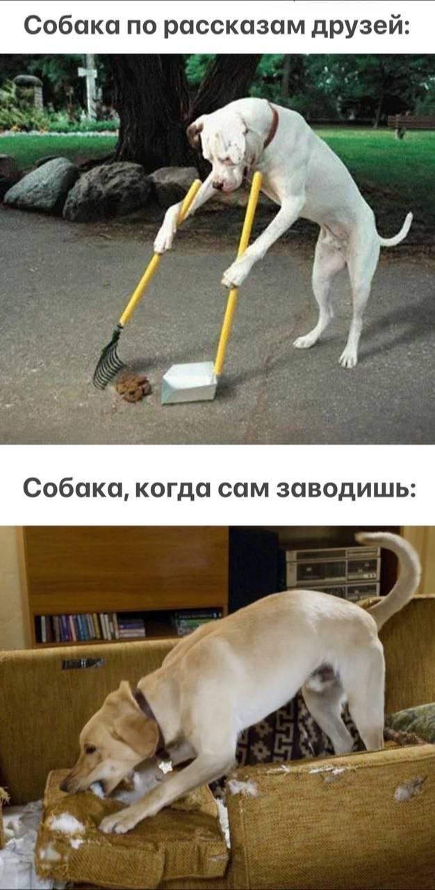 Смешные картинки - 14.07.2025 Смешные картинки - 14.07.2025